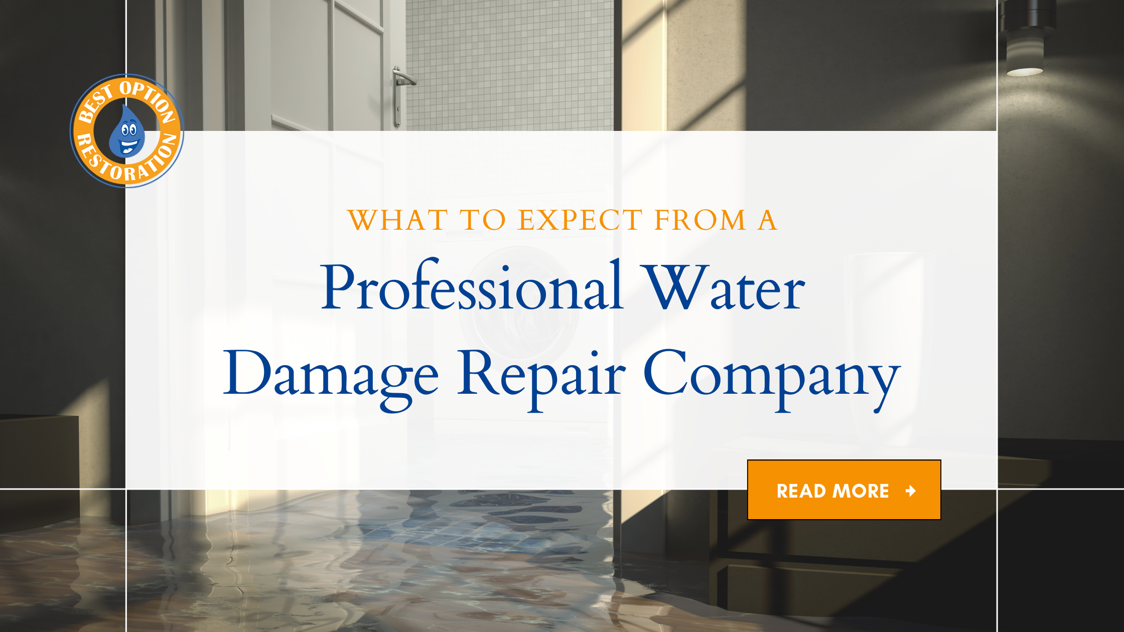 Expert Tips for Dealing with Water Damage: What a Professional Repair Company Can Do