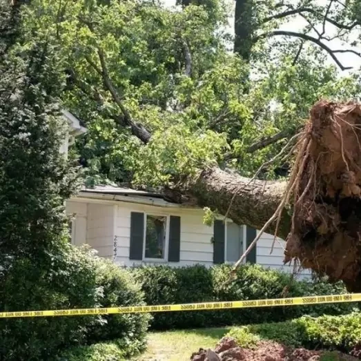 Storm & Wind Damage Repair Services in Fayetteville, AR