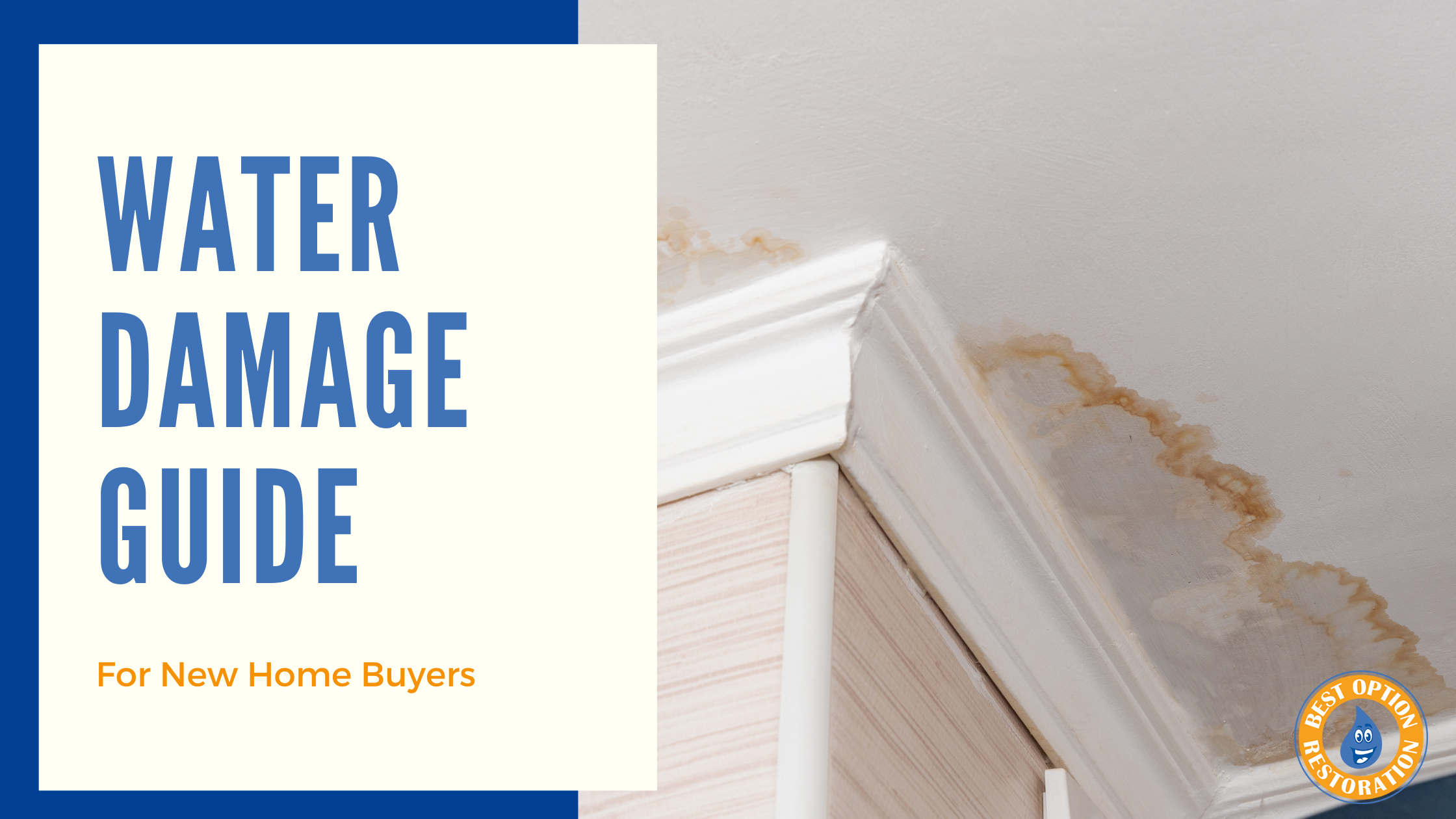 Water Damage Guide For Home Buyers in 2024